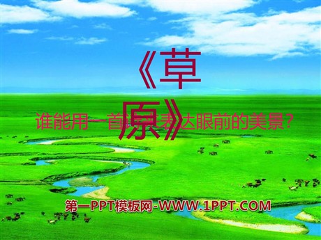 《草原》PPT课件10
