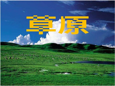 《草原》PPT课件12