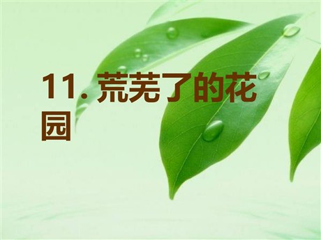 《荒芜了的花园》PPT课件