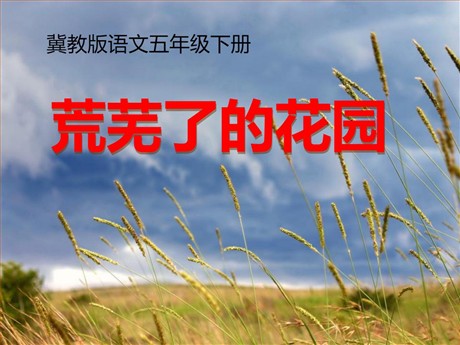 《荒芜了的花园》PPT课件3