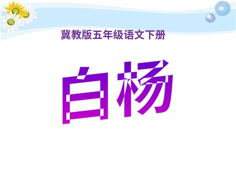 《白杨》PPT课件10