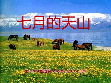 《七月的天山》PPT课件13