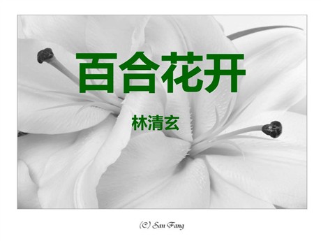 《百合花开》PPT课件