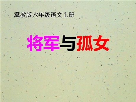 《将军与孤女》PPT课件