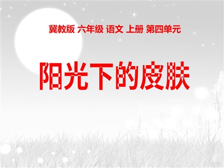 《阳光下的皮肤》PPT课件
