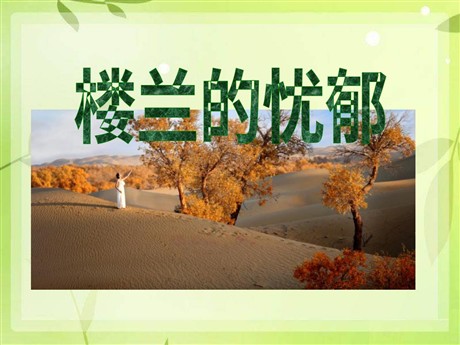 《楼兰的忧郁》PPT课件