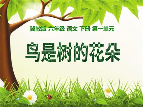 《鸟是树的花朵》PPT课件2