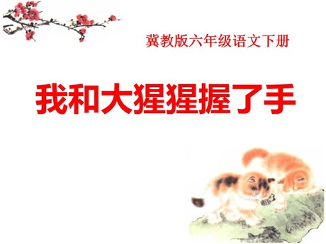 《我和大猩猩握了手》PPT课件