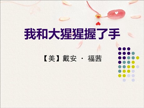 《我和大猩猩握了手》PPT课件3