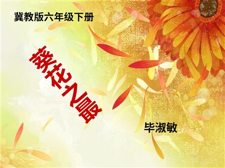 《葵花之最》PPT课件4