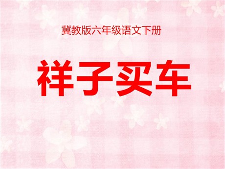 《祥子买车》PPT课件