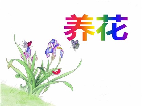 《养花》PPT课件8