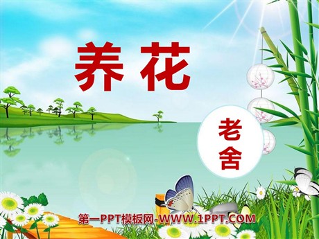 《养花》PPT课件9