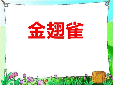 《金翅雀》PPT课件