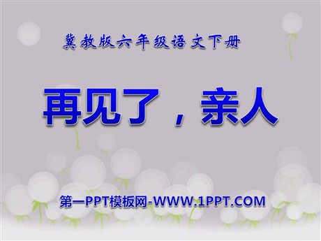 《再见了，亲人》PPT课件10