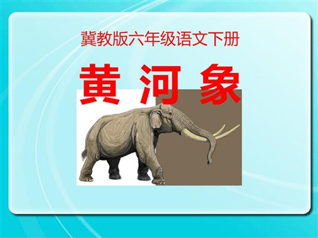 《黄河象》PPT课件3