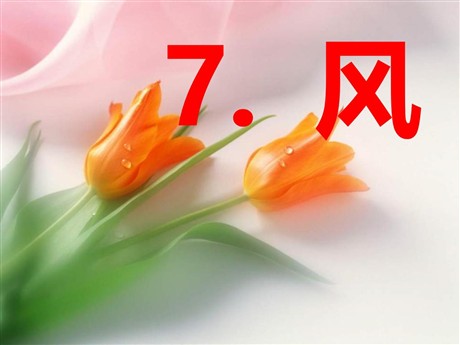 《风》PPT课件9