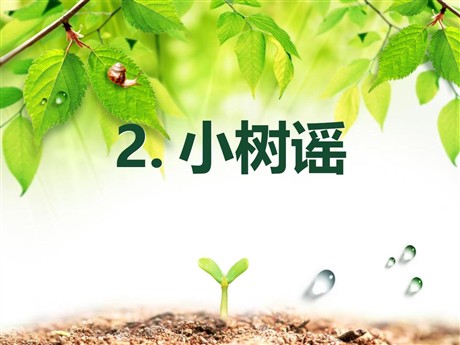 《小树谣》PPT课件