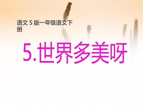 《世界多美呀》PPT课件6