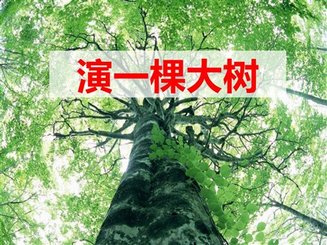 《演一棵大树》PPT课件