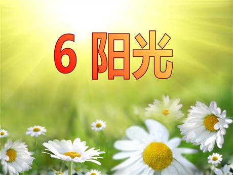 《阳光》PPT课件10
