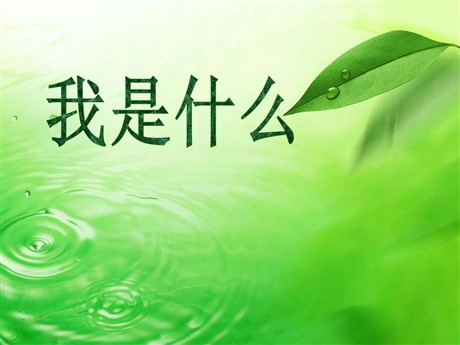 《我是什么》PPT课件9