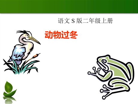 《动物过冬》PPT课件