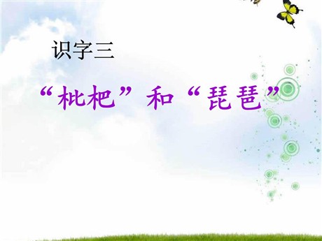 《“枇杷”和“琵琶”》PPT课件2