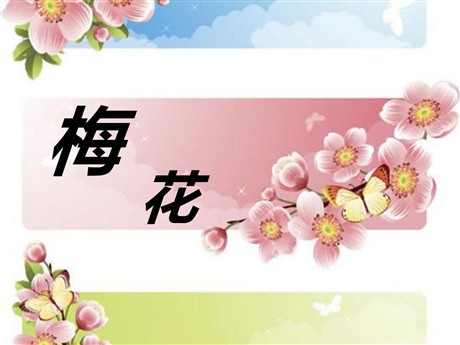 《梅花》PPT课件2