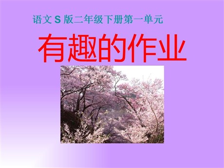 《有趣的作业》PPT课件2