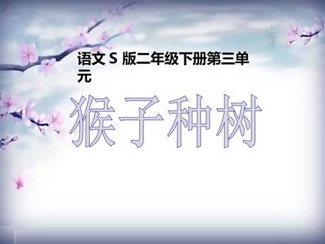 《猴子种树》PPT课件4