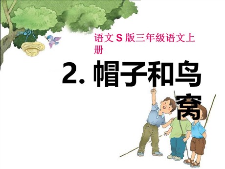 《帽子和鸟窝》PPT课件2
