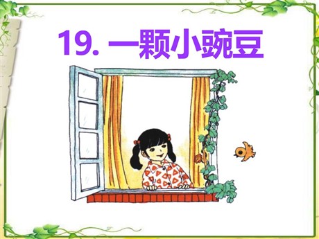 《一颗小豌豆》PPT课件5