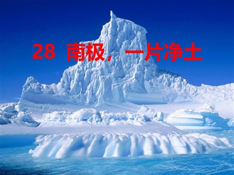 《南极，一片净土》PPT课件