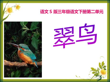 《翠鸟》PPT课件6