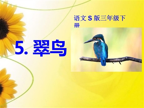 《翠鸟》PPT课件7