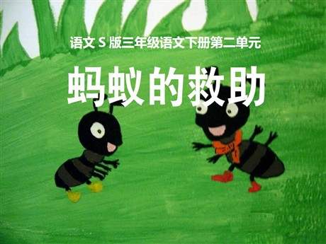 《蚂蚁的救助》PPT课件3