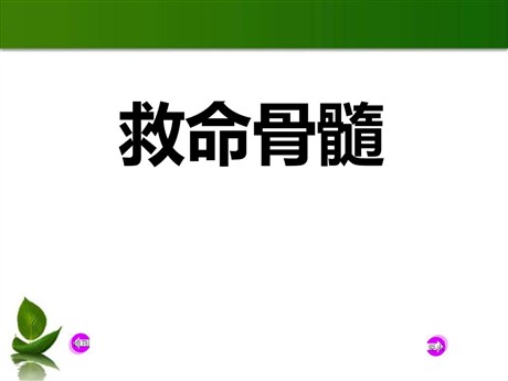 《救命骨髓》PPT课件