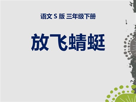 《放飞蜻蜓》PPT课件4