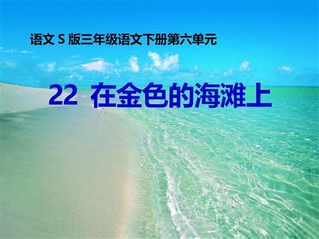 《在金色的海滩上》PPT课件2
