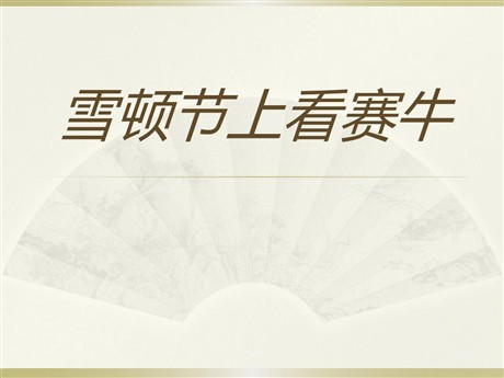 《雪顿节上看赛牛》PPT课件