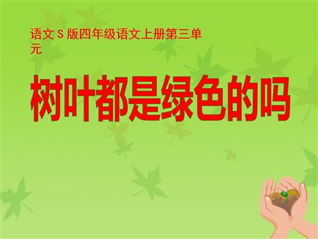 《树叶都是绿色的吗》PPT课件5