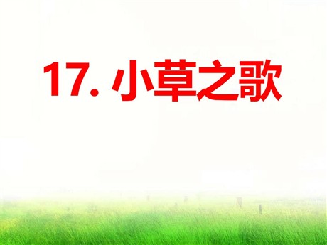 《小草之歌》PPT课件3