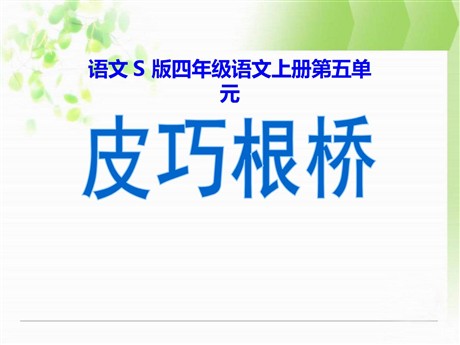 《皮巧根桥》PPT课件5