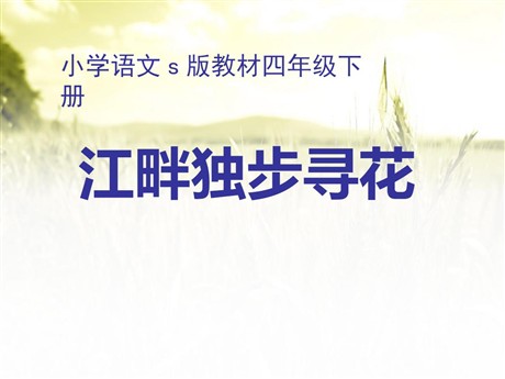 《江畔独步寻花》PPT课件8