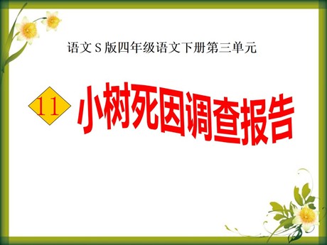 《小树死因调查报告》PPT课件