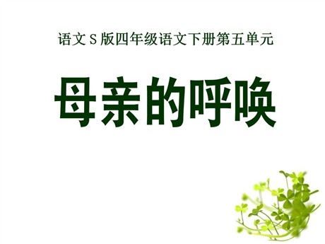 《母亲的呼唤》PPT课件