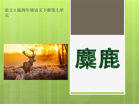 《麋鹿》PPT课件7