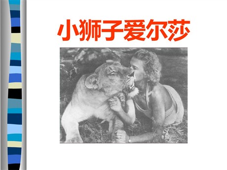 《小狮子爱尔莎》PPT课件5