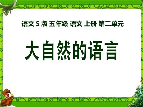 《大自然的语言》PPT课件14